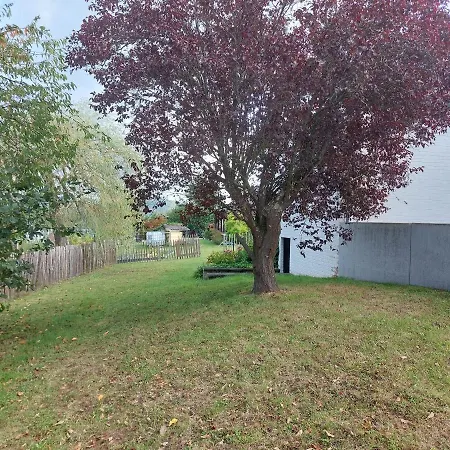 Forire * Насонь